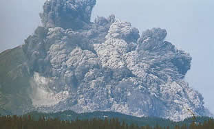 Mt ST Helens erupts on MAy 18 1980. An earthquake triggers a giant lanslide which releases the pressure on the lava within causing a enormous lateral blast of hot rocks and ash